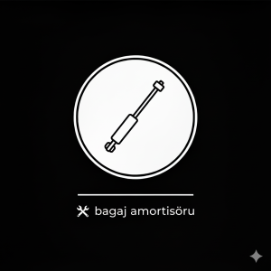 Bagaj Amortisörü